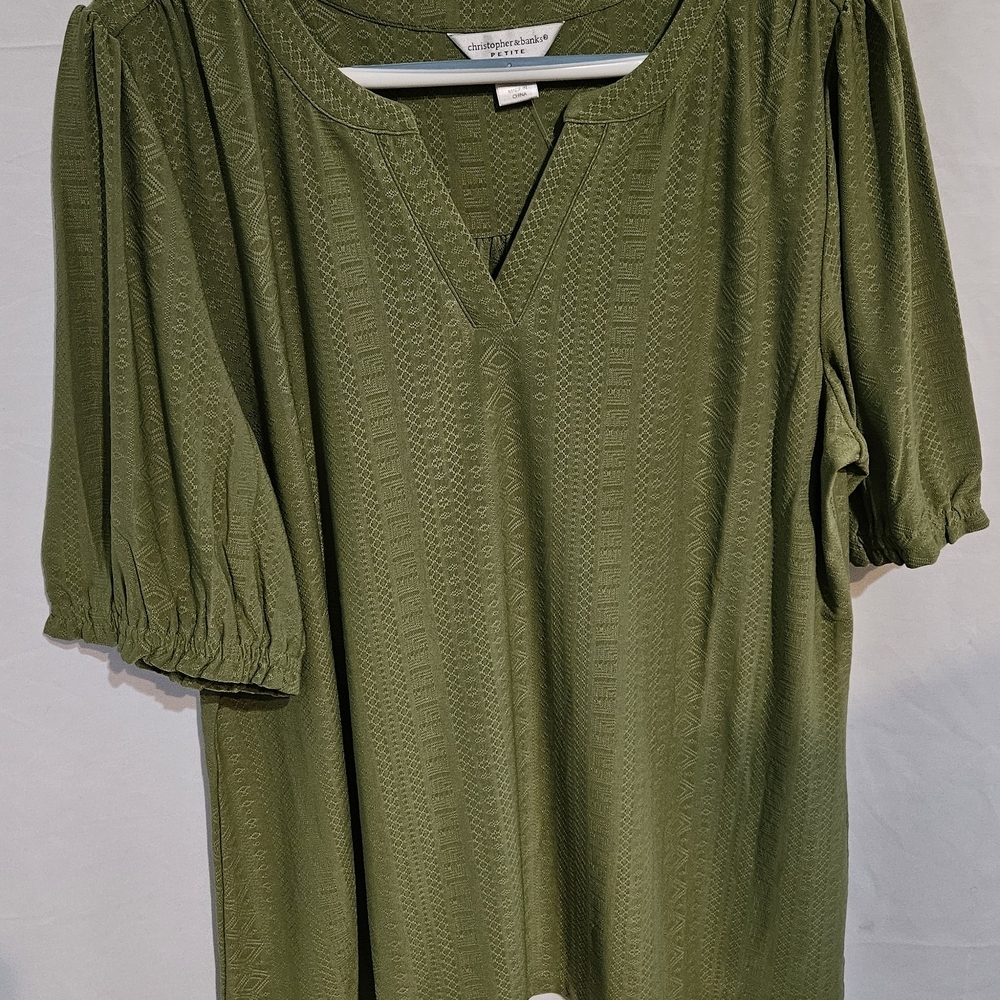 Universal Thread Sage Green Textured Blouse